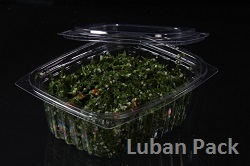 Salad Containers